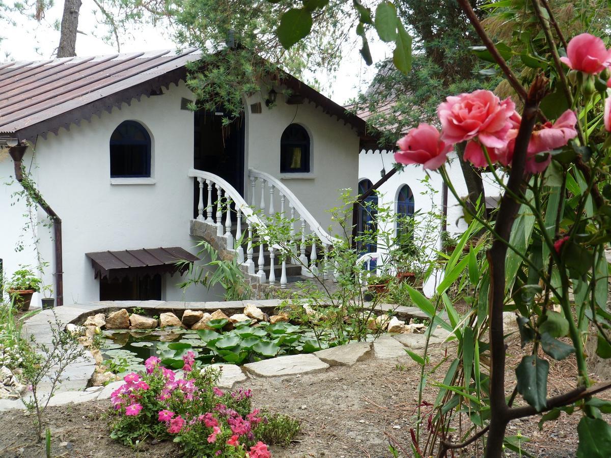 Ayurvaid Kalmatia Otel Almora Dış mekan fotoğraf