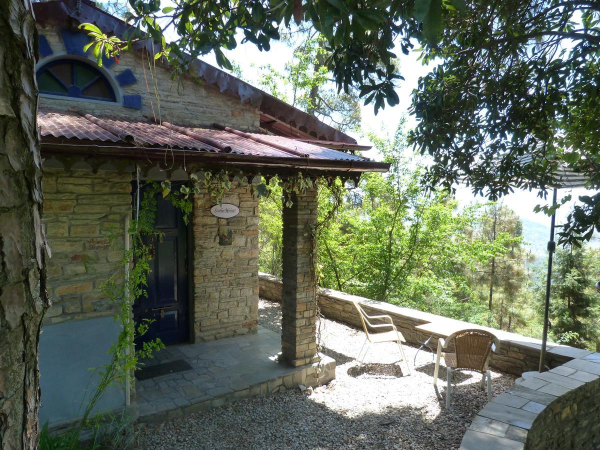 Ayurvaid Kalmatia Otel Almora Dış mekan fotoğraf
