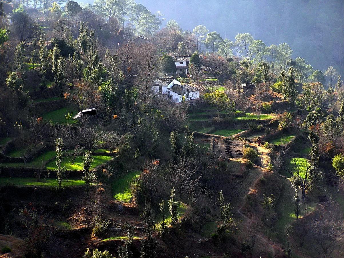 Ayurvaid Kalmatia Otel Almora Dış mekan fotoğraf